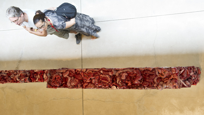 A queda de um hotel em SP foi inspiração para a obra de Adriana Varejão. 